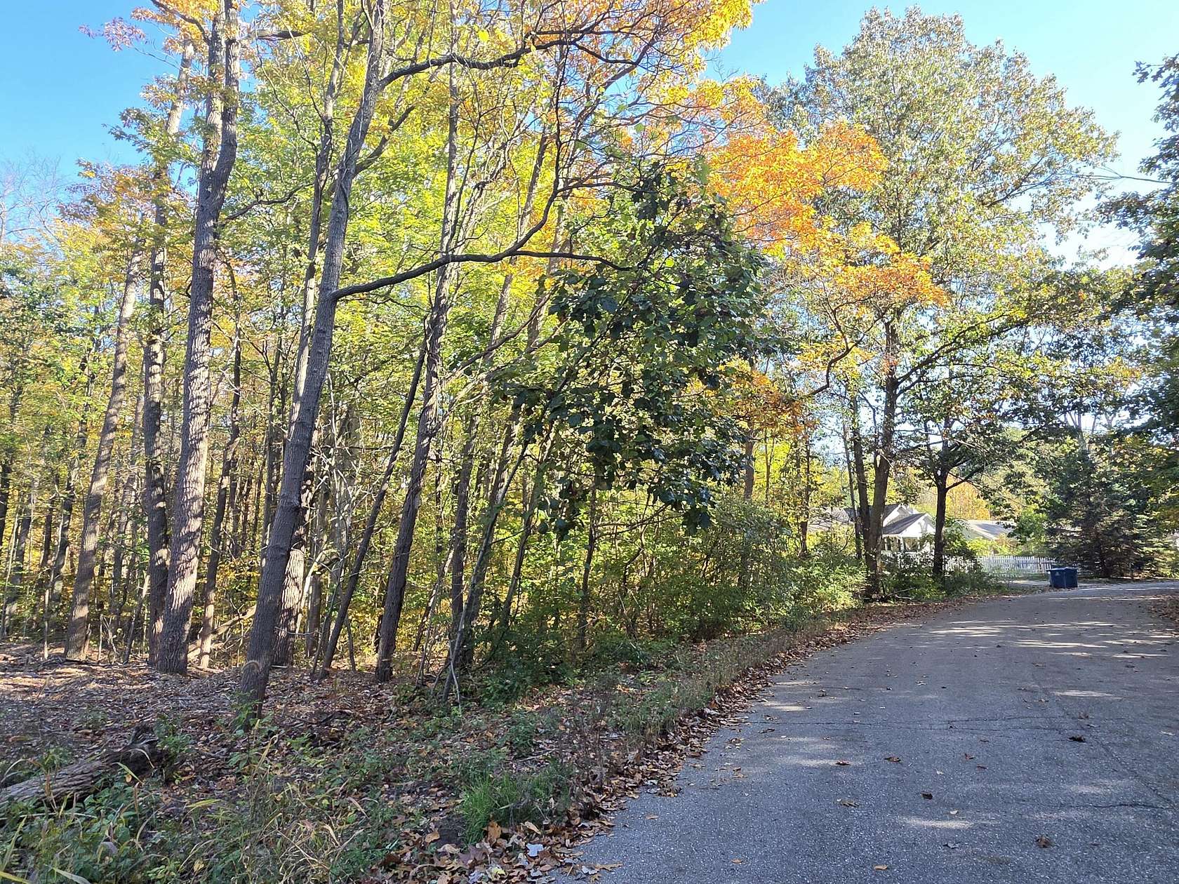 0.62 Acres of Residential Land for Sale in Fennville, Michigan