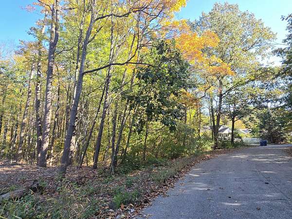 0.62 Acres of Residential Land for Sale in Fennville, Michigan