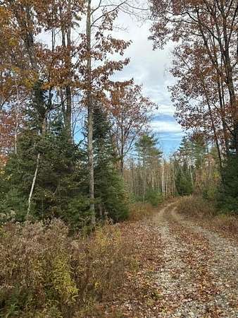 41 Acres of Recreational & Residential Land for Sale in New Sharon, Maine