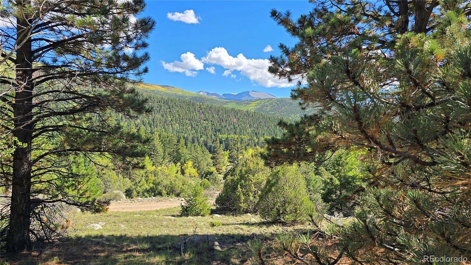 12 Acres of Land for Sale in San Luis, Colorado