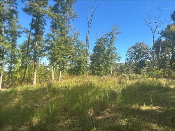 40 Acres of Recreational Land for Sale in Kingston, Arkansas