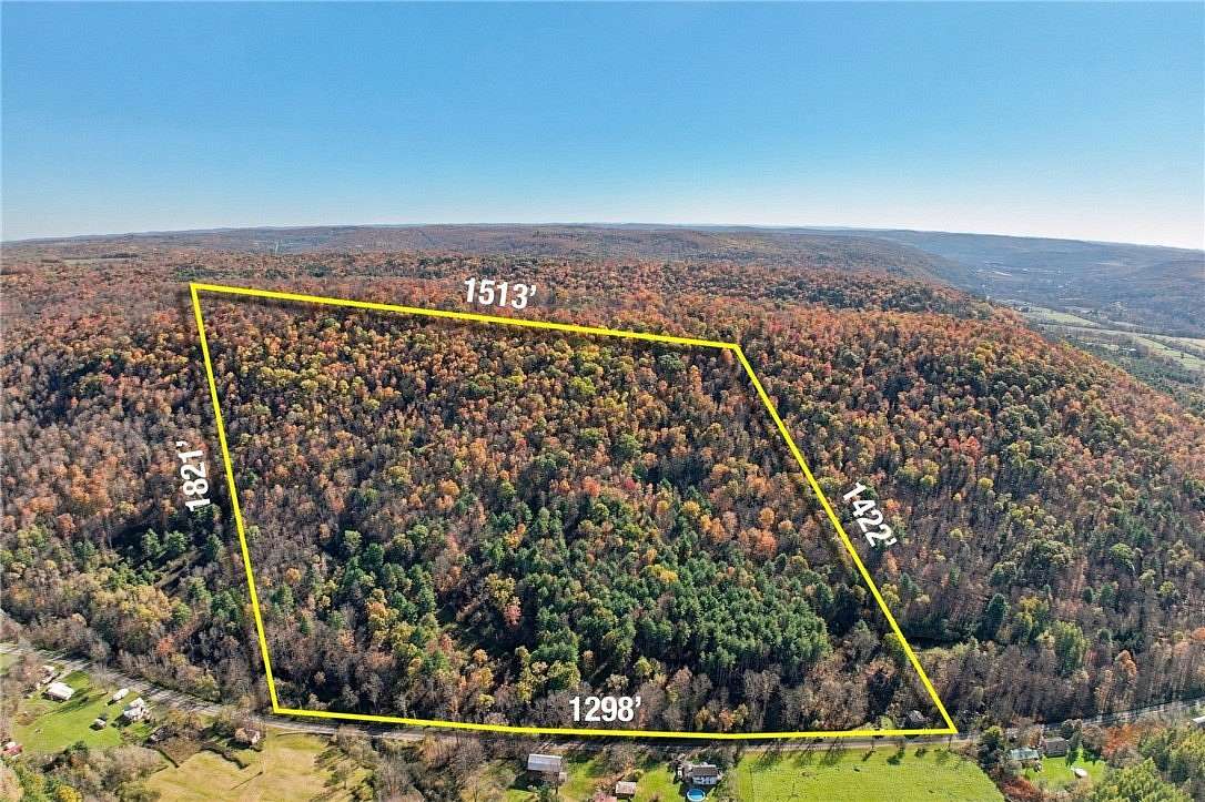44.4 Acres of Land for Sale in Cayuta, New York