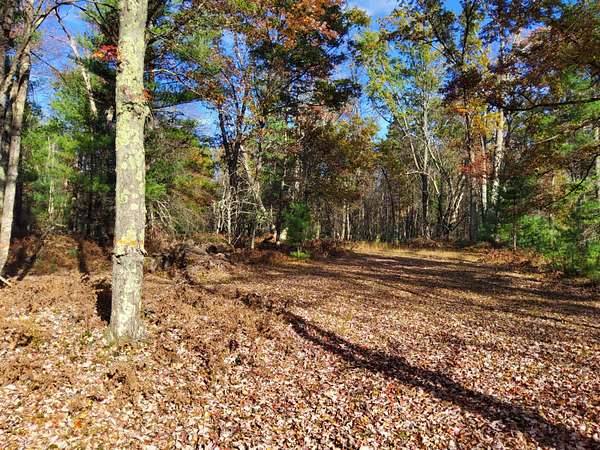 17 Acres of Recreational & Residential Land for Sale in Bitely, Michigan