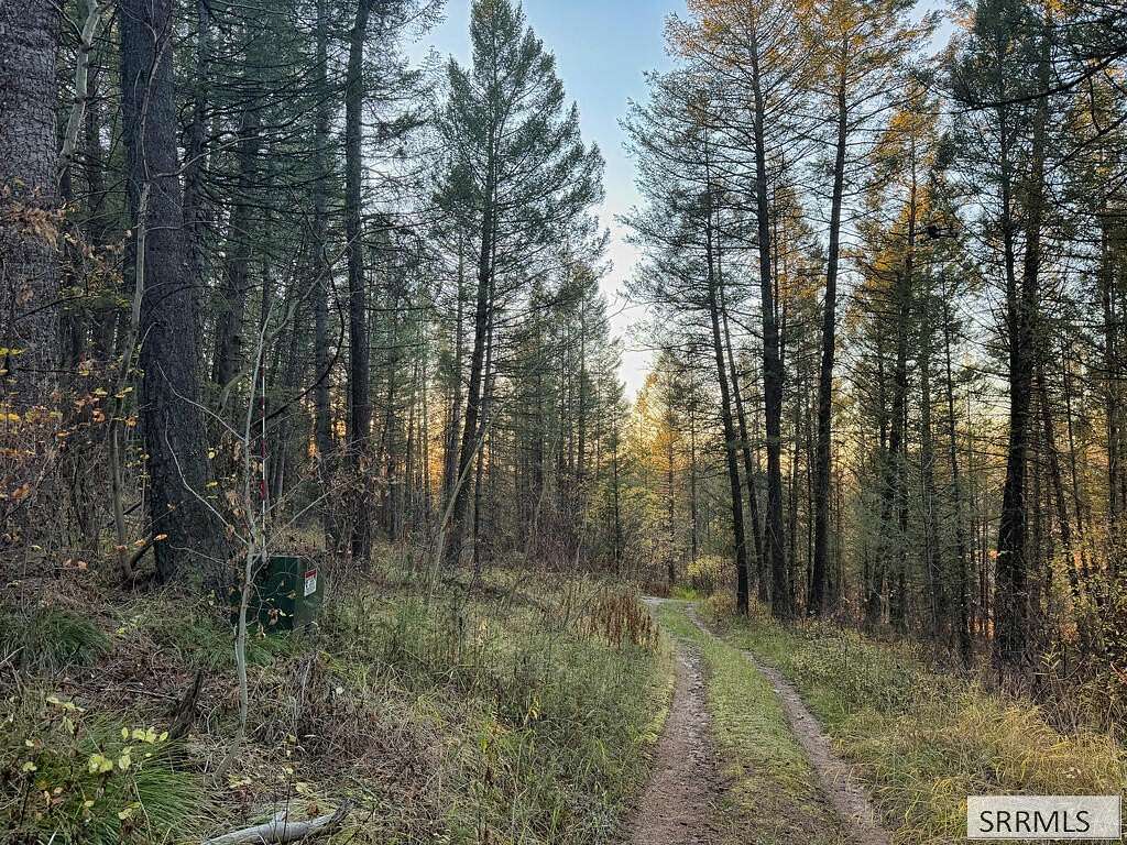 5 Acres of Residential Land for Sale in Tetonia, Idaho