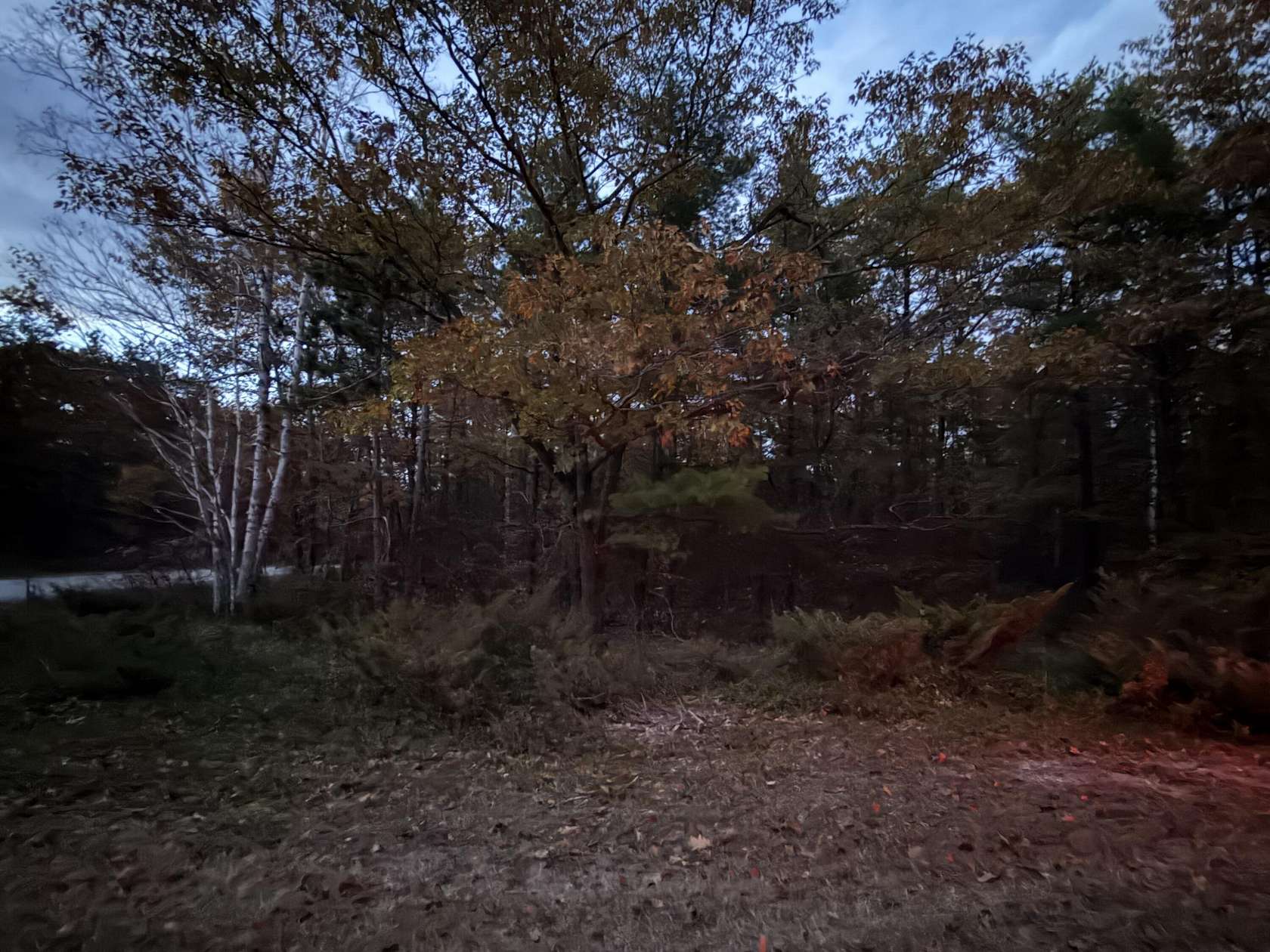 0.46 Acres of Land for Sale in Presque Isle, Michigan