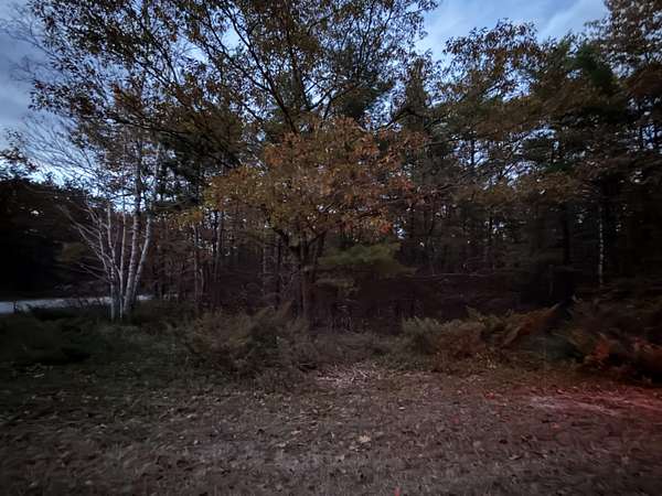 0.46 Acres of Land for Sale in Presque Isle, Michigan