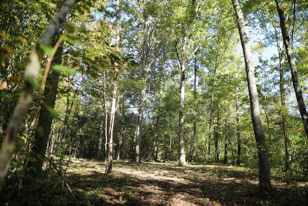 84.4 Acres of Recreational & Residential Land for Sale in Appomattox, Virginia