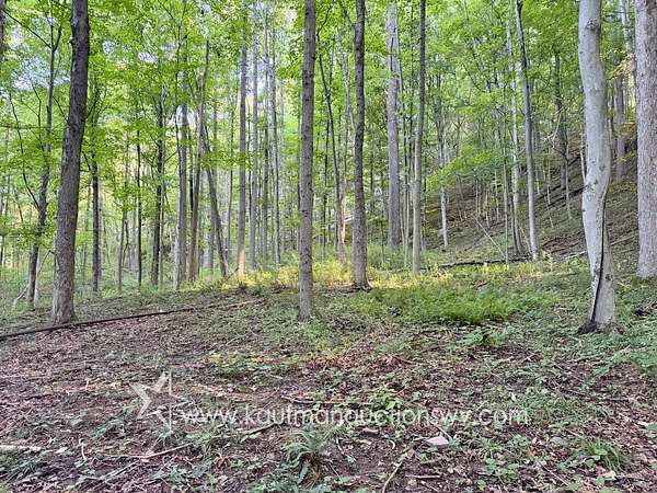 144 Acres of Recreational Land for Auction in St. Marys, West Virginia