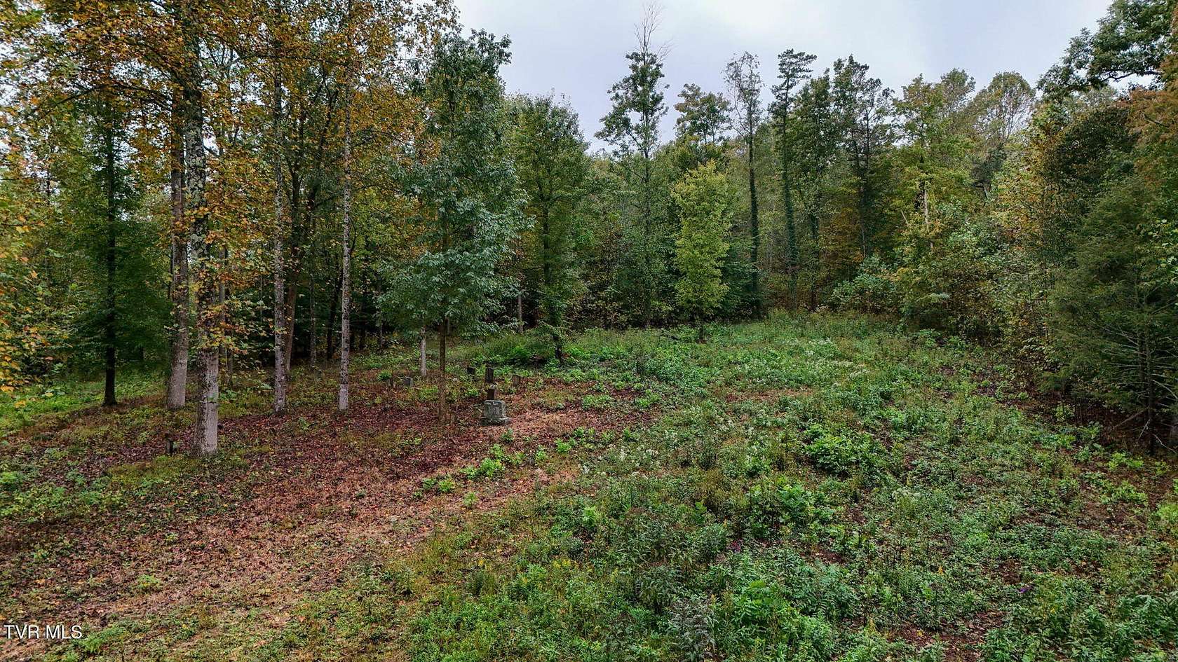 4.4 Acres of Residential Land for Sale in Johnson City, Tennessee