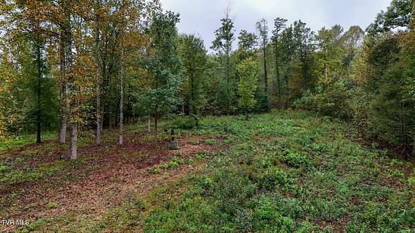 4.4 Acres of Residential Land for Sale in Johnson City, Tennessee