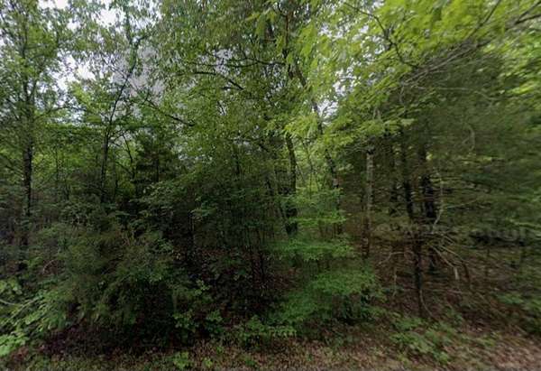 0.32 Acres of Residential Land for Sale in Horseshoe Bend, Arkansas
