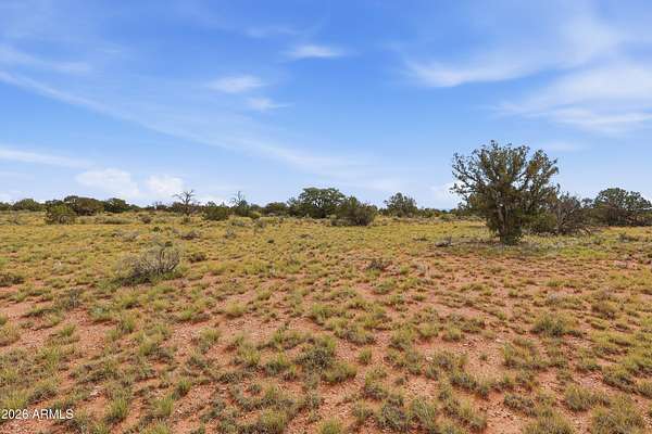 16.3 Acres of Recreational & Residential Land for Sale in Williams, Arizona