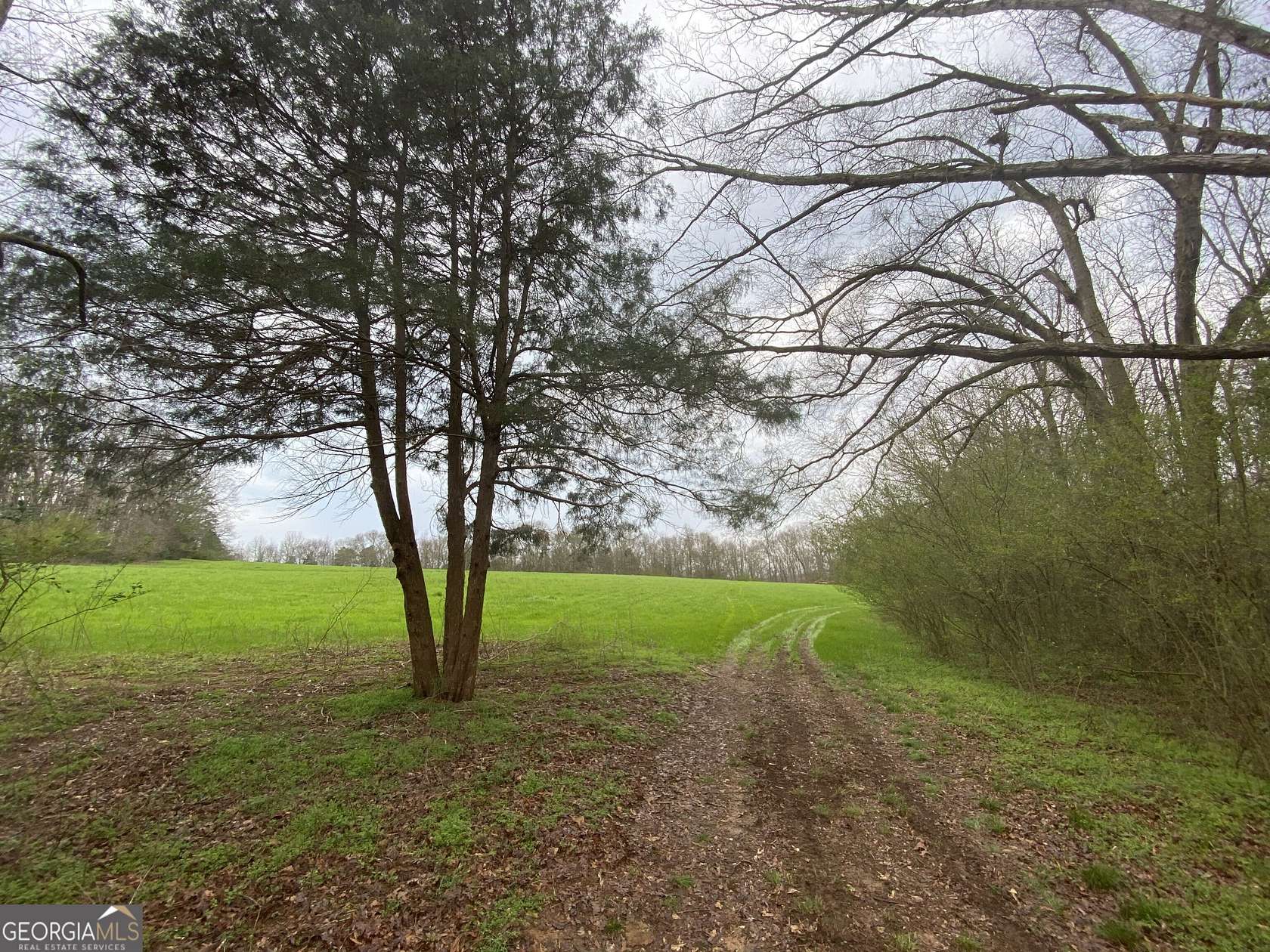 54.8 Acres of Land for Sale in Dewy Rose, Georgia