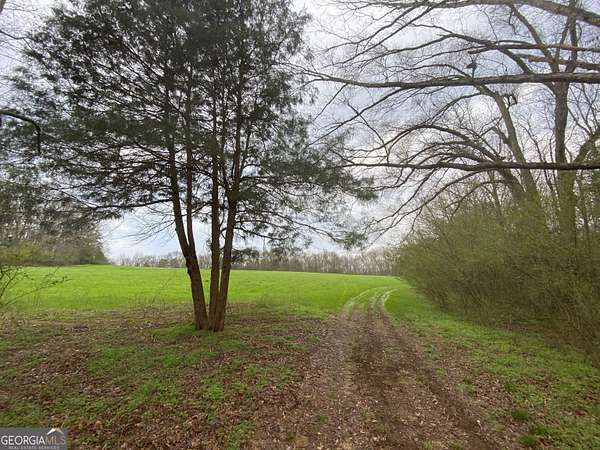 54.8 Acres of Land for Sale in Dewy Rose, Georgia