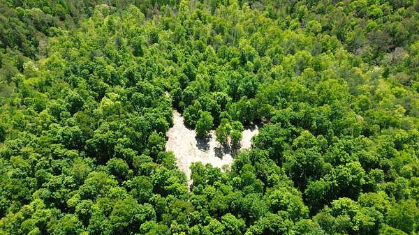 322 Acres of Recreational Land for Sale in Hitchins, Kentucky
