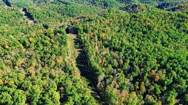 113 Acres of Recreational Land for Sale in Hitchins, Kentucky