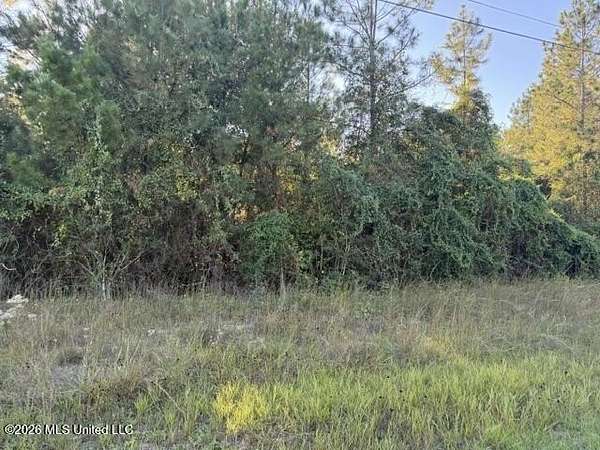 0.51 Acres of Residential Land for Sale in Saucier, Mississippi