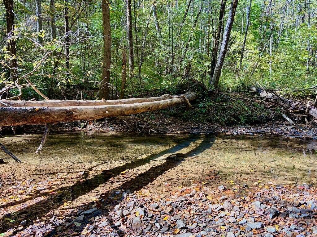 2.2 Acres of Land for Sale in Union, Georgia