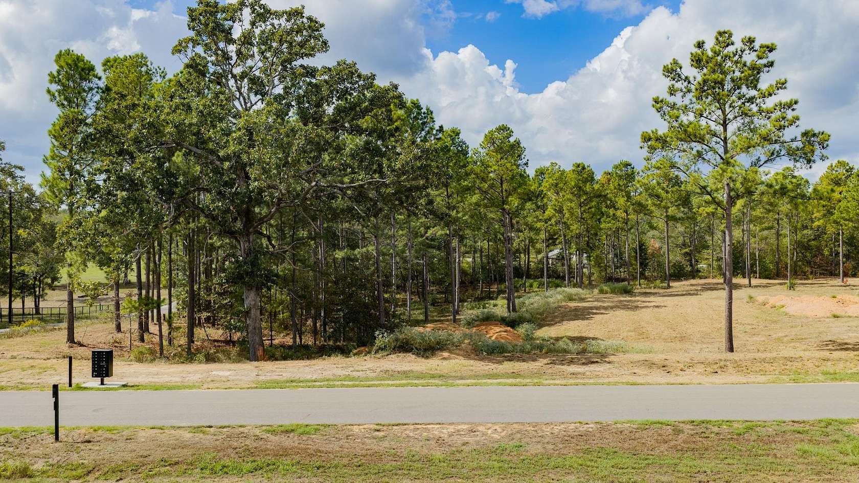 3.82 Acres of Residential Land for Sale in Diana, Texas