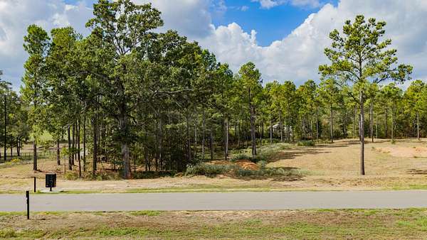 3.82 Acres of Residential Land for Sale in Diana, Texas
