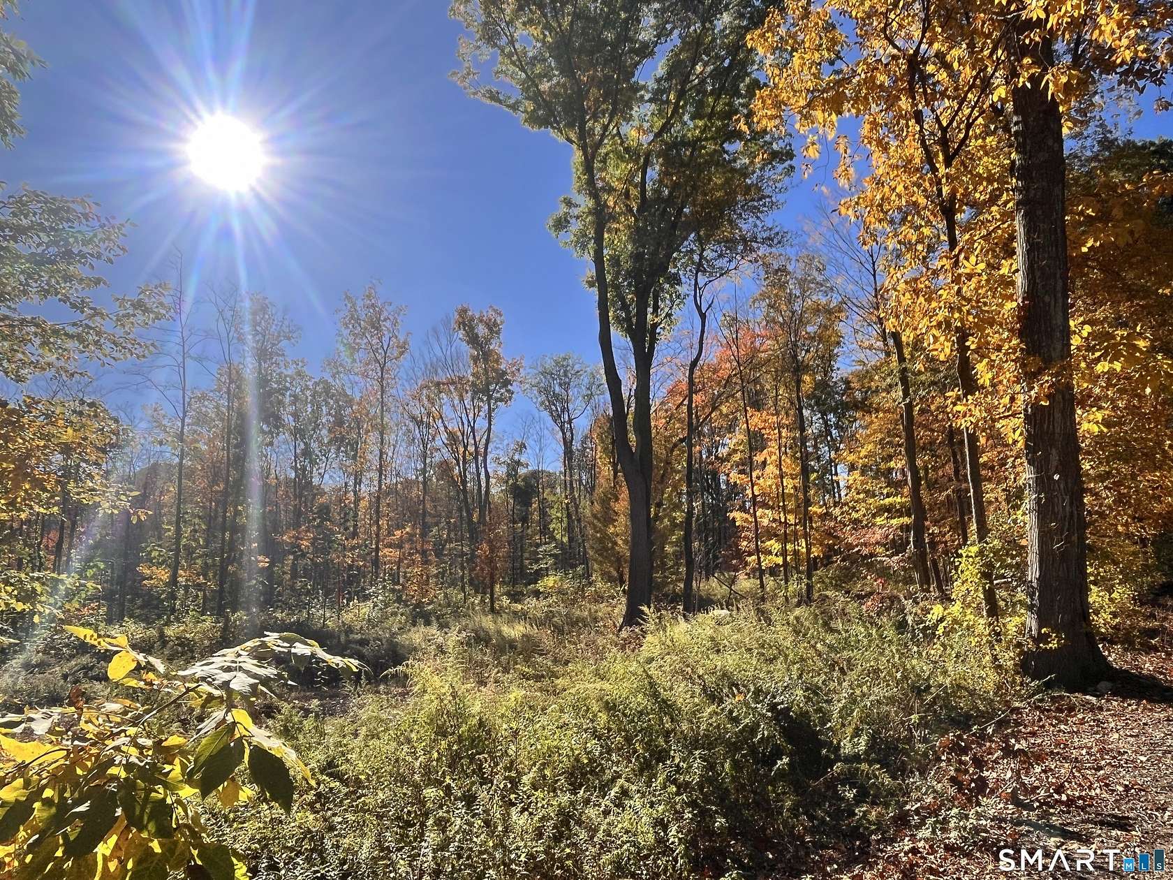 3 Acres of Residential Land for Sale in Lebanon, Connecticut