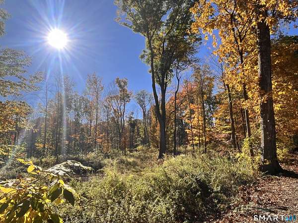 3 Acres of Residential Land for Sale in Lebanon, Connecticut