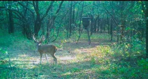 149 Acres of Land for Sale in Sasakwa, Oklahoma