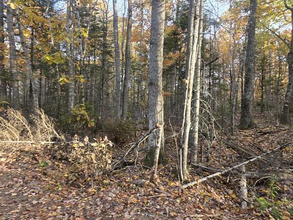 1 Acre of Residential Land for Sale in Swanville, Maine