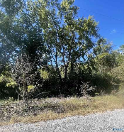 7 Acres of Residential Land for Sale in Hillsboro, Alabama