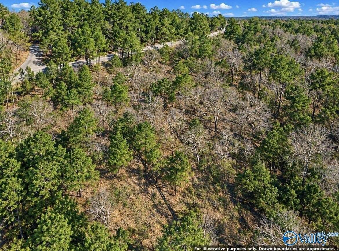 0.5 Acres of Residential Land for Sale in Oneonta, Alabama