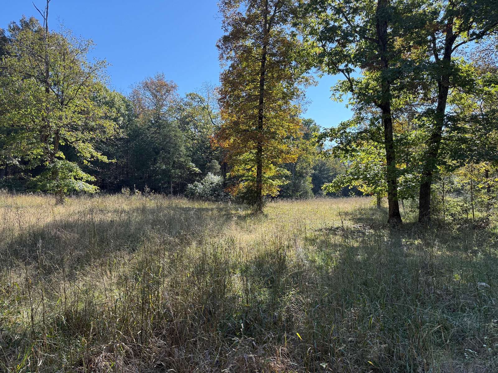 227 Acres of Recreational Land for Sale in Evening Shade, Arkansas