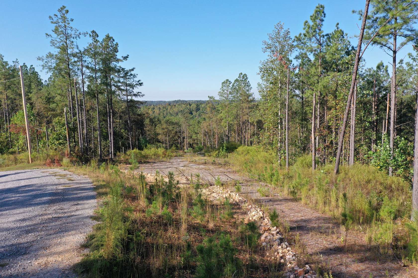 17 Acres of Recreational Land for Sale in Linden, Tennessee