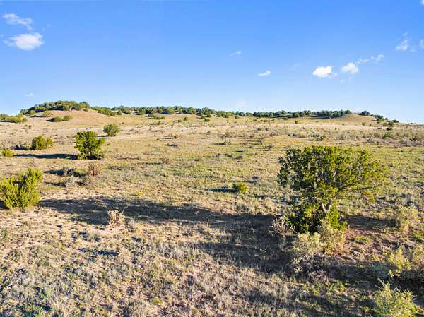 40 Acres of Land for Sale in Model, Colorado