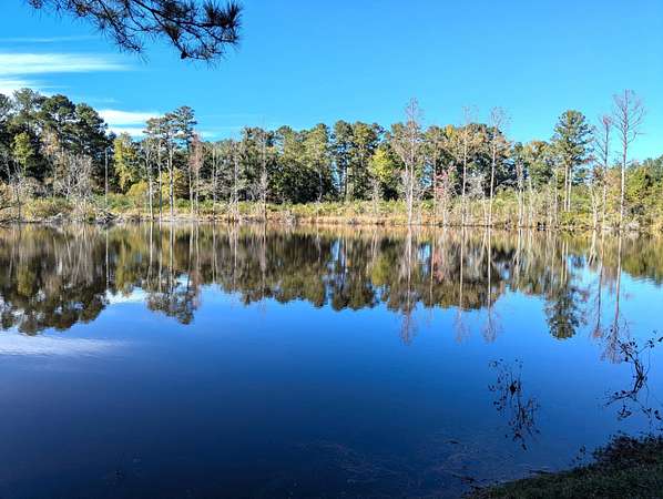 18.5 Acres of Land for Sale in Johnston, South Carolina