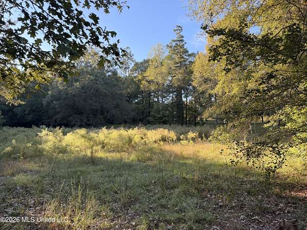 3.1 Acres of Residential Land for Sale in Summit, Mississippi
