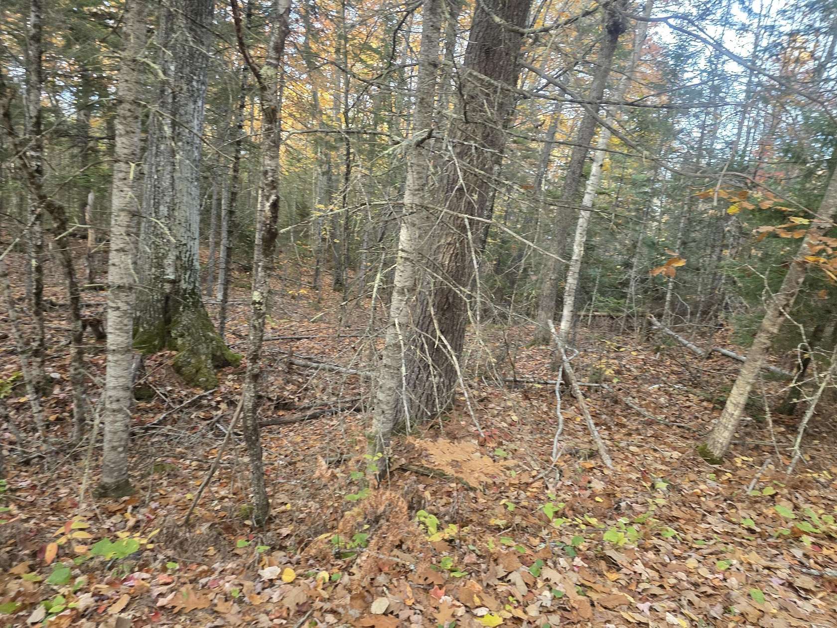 1 Acre of Residential Land for Sale in Swanville, Maine