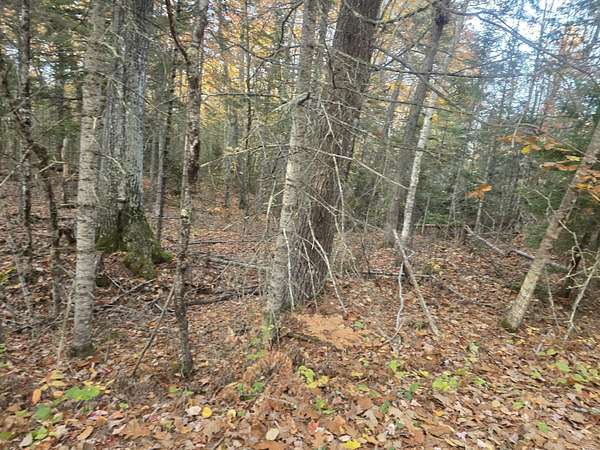 1 Acre of Residential Land for Sale in Swanville, Maine