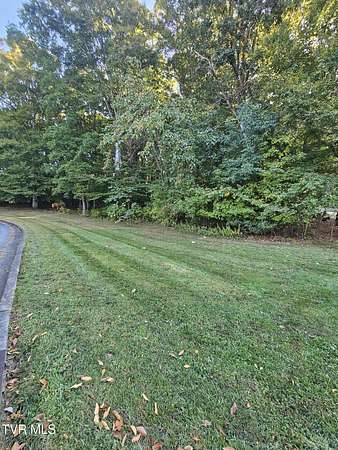 1.27 Acres of Residential Land for Sale in Chuckey, Tennessee