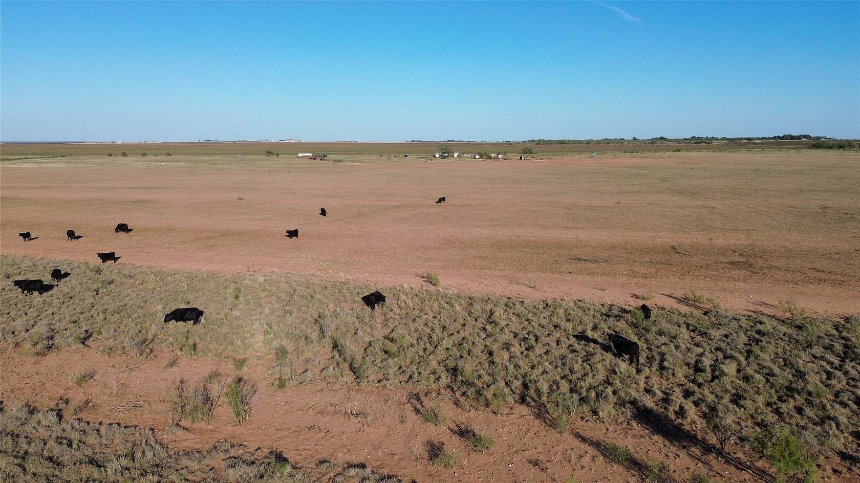 160 Acres of Agricultural Land for Sale in Merkel, Texas