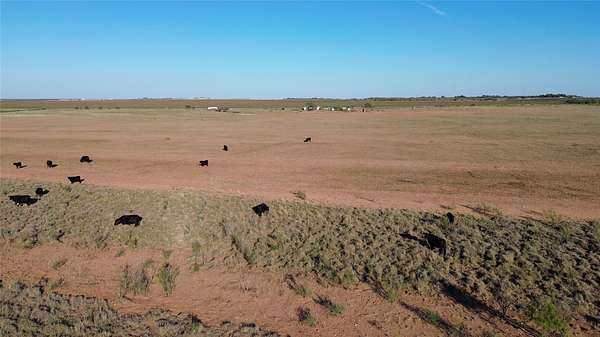 160 Acres of Agricultural Land for Sale in Merkel, Texas