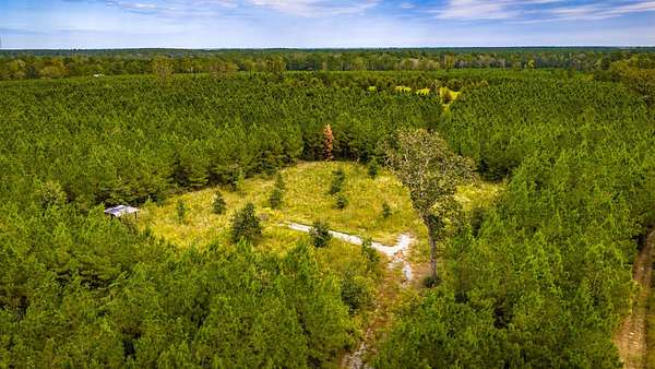 10 Acres of Recreational & Residential Land for Sale in Burke, Texas