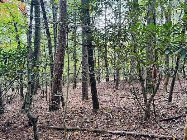 3.39 Acres of Residential Land for Sale in Pisgah Forest, North Carolina