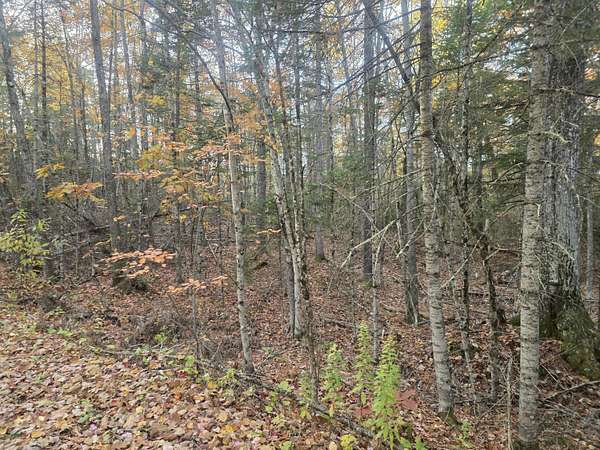 1 Acre of Residential Land for Sale in Swanville, Maine