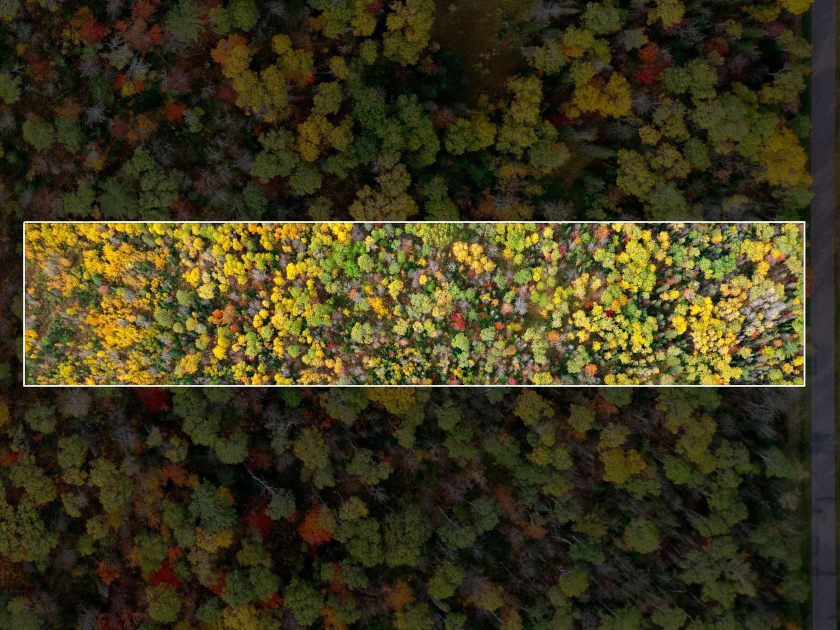 10 Acres of Land for Sale in Ewen, Michigan