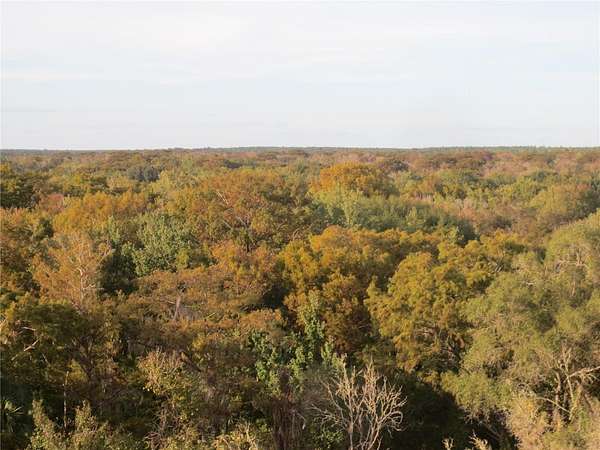 0.3 Acres of Land for Sale in Silver Springs, Florida