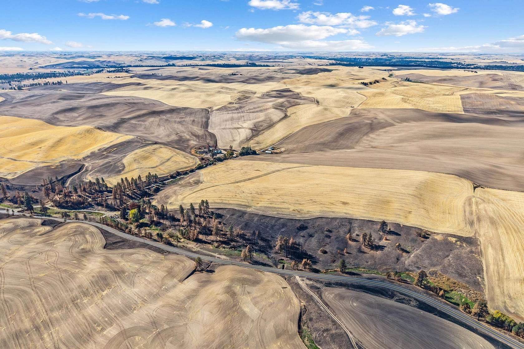 50 Acres of Land for Sale in Malden, Washington