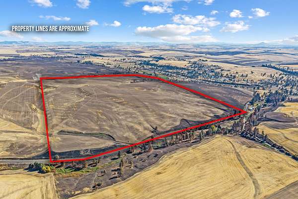 239 Acres of Agricultural & Residential Land for Sale in Malden, Washington