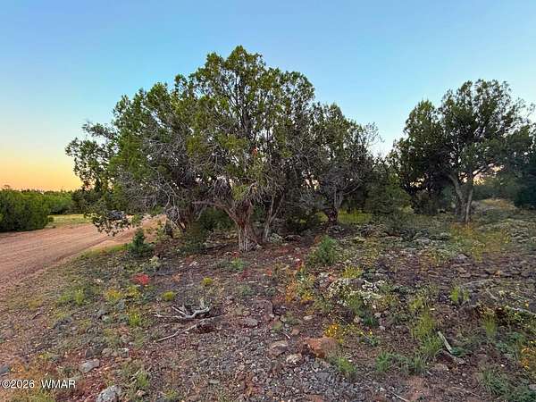 0.25 Acres of Residential Land for Sale in Show Low, Arizona
