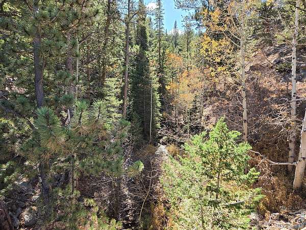 23.3 Acres of Recreational Land for Sale in Allenspark, Colorado