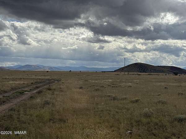 1 Acre of Residential Land for Sale in Concho, Arizona